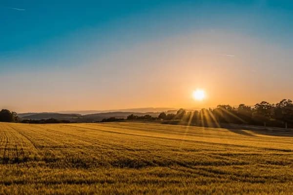 Saskatchewan landscape