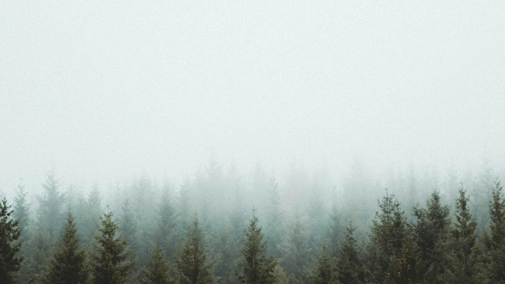 Beautiful Canadian prairie landscape